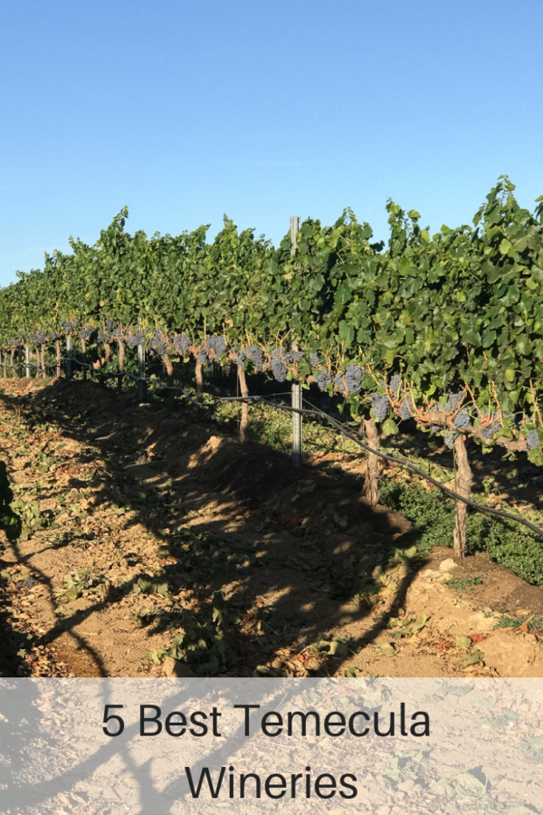 The 5 Best Temecula Wineries - Pacific Globetrotters