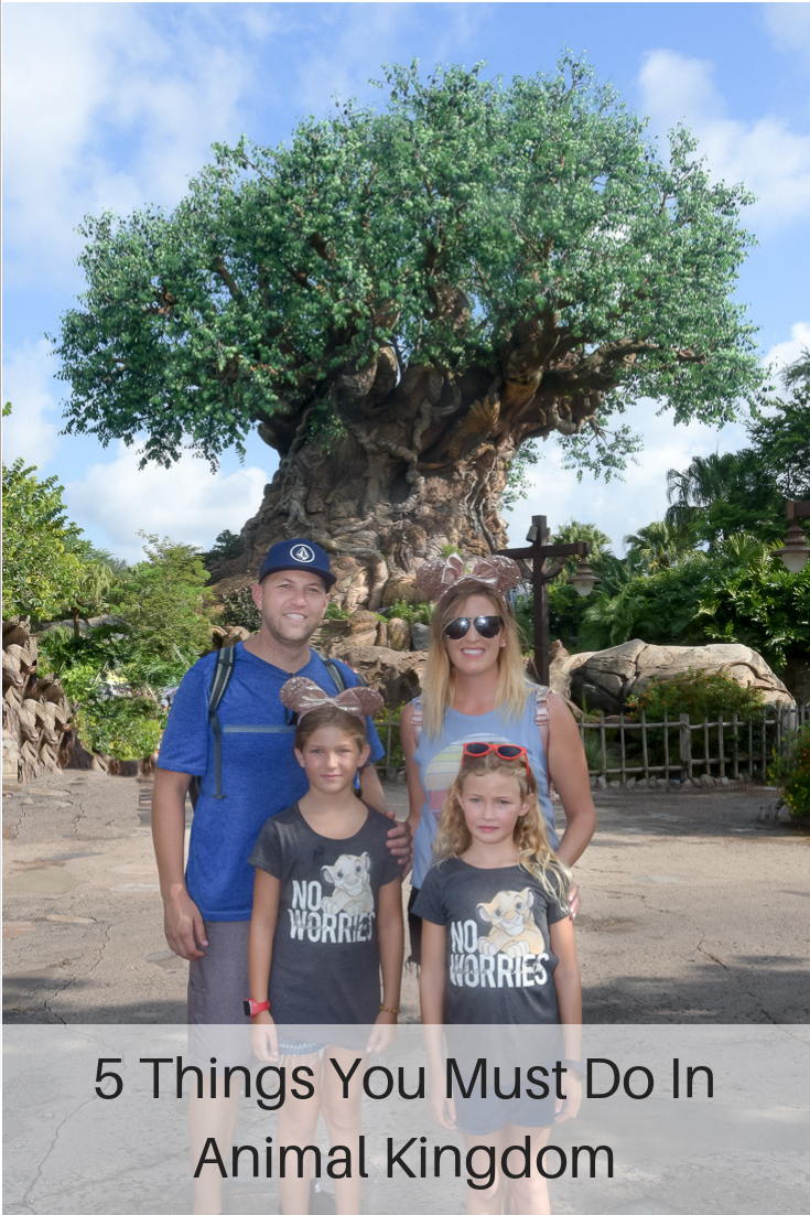 5 Things You Must Do At Animal Kingdom