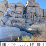 The Ultimate Day Trip To Joshua Tree National Park