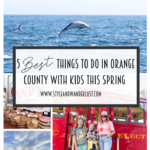 Local Love: 5 Best Things To Do In Orange County with kids this spring featured by popular US Travel Blogger, Style & Wanderlust; photo of spinner dolphin jumping
