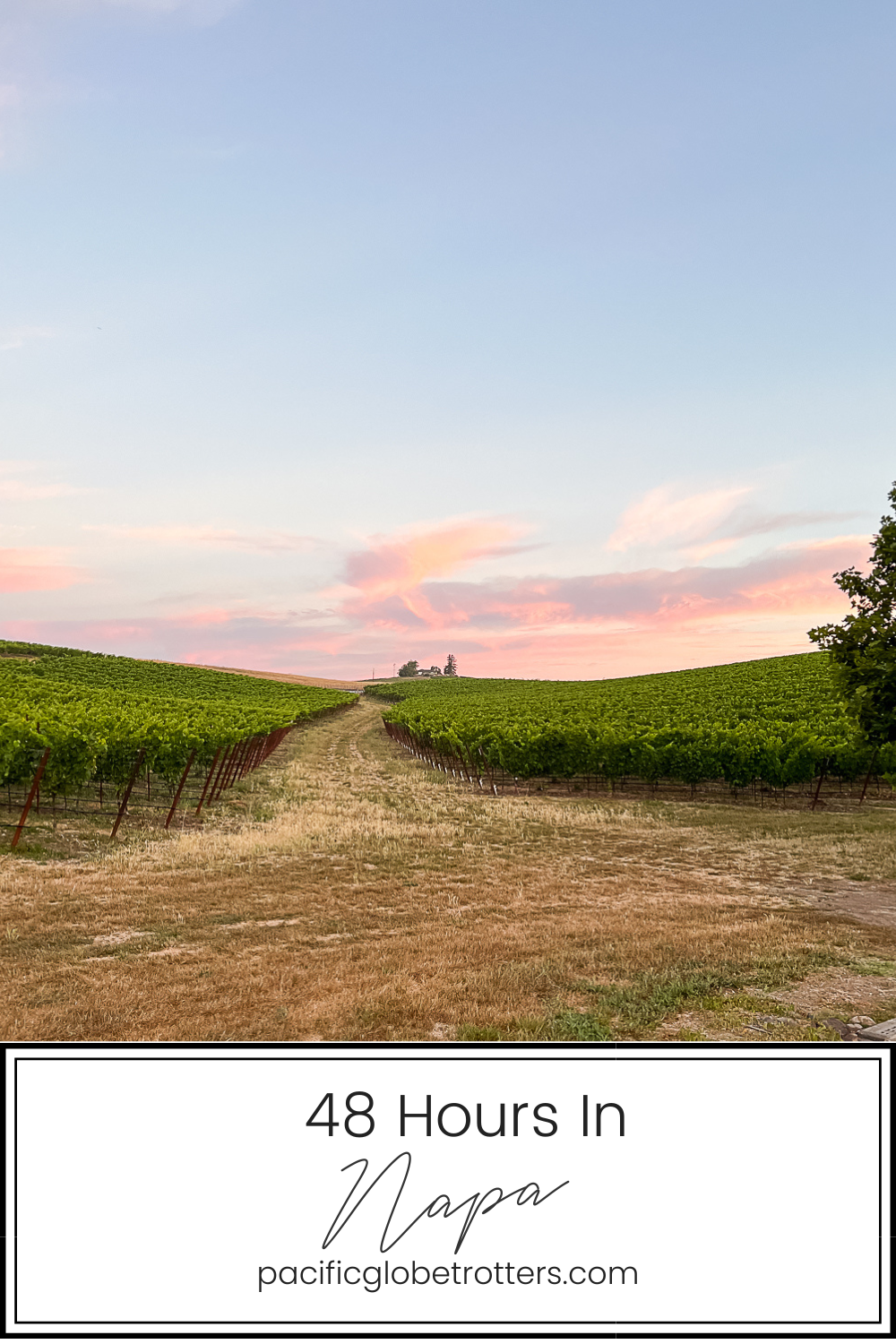 Pacific Globetrotters, budget family travel blog, shares their trip 48 hours in Napa.