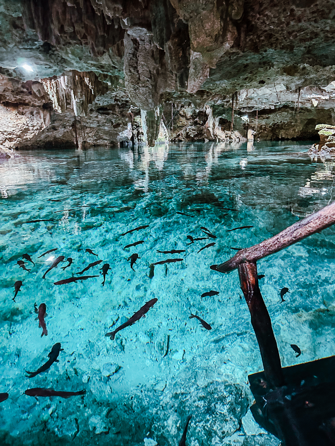 Pacific Globetrotters, budget family travel blog, shares the Best Cenotes In Cancun. Aktun-Chen