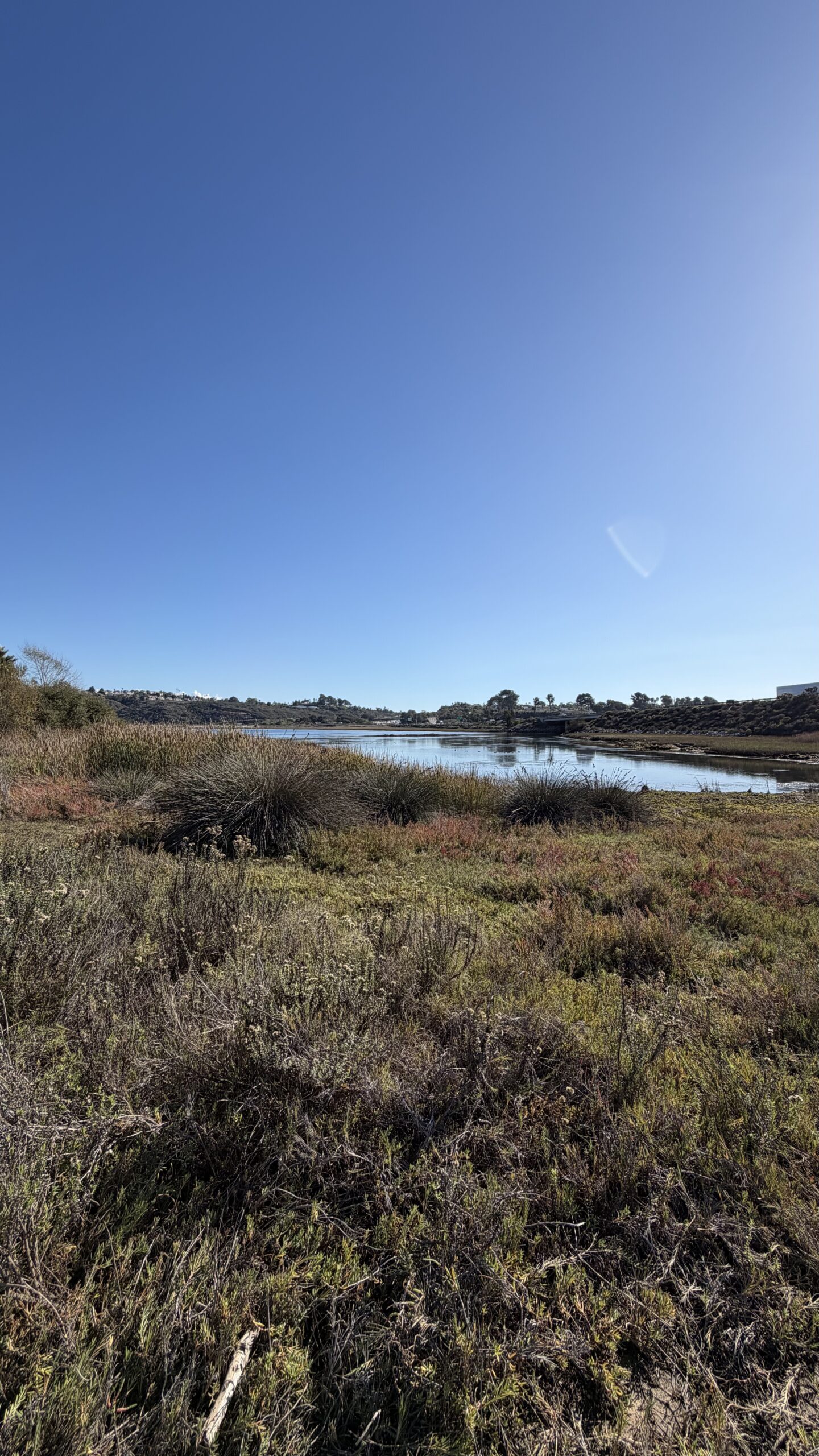 Pacific Globetrotters, budget family travel blog, shares Explore Carlsbad, a local guide to great spots.